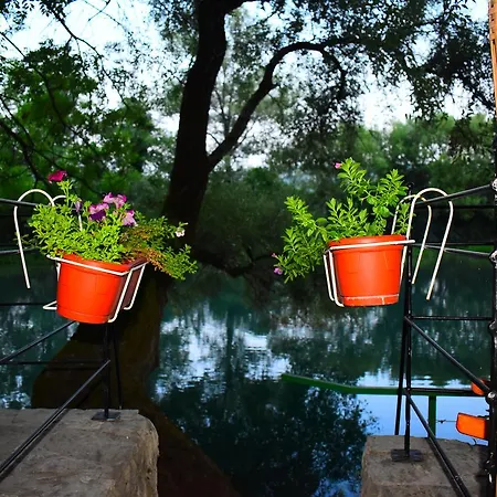 Hotel Ivankovic 3*
